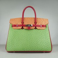 Hermes Birkin 35Cm Ostrich Stripe Handbags Red/Orange/Green Silver
